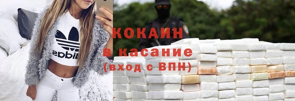дживик Надым