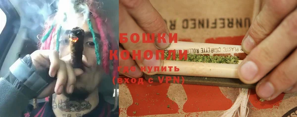 хмурый Аркадак