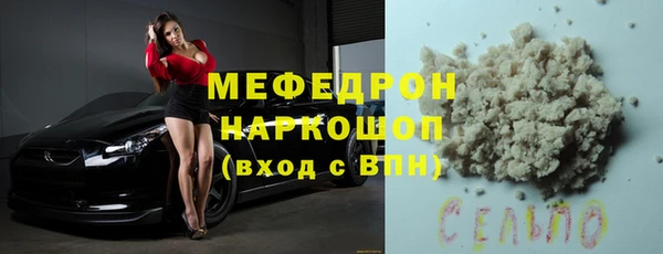 хмурый Аркадак