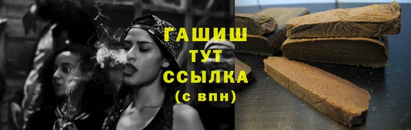 хмурый Аркадак