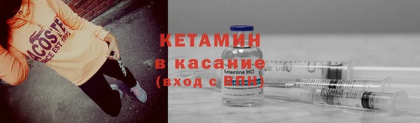 хмурый Аркадак