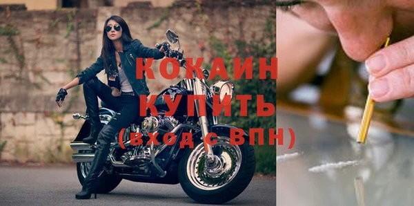 стафф Арсеньев