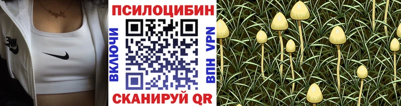 blacksprut рабочий сайт  как найти   Валуйки  Галлюциногенные грибы прущие грибы 